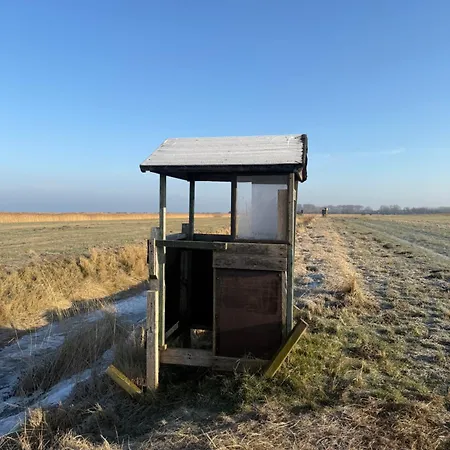 Gemuetliche Nahe Der Ostsee